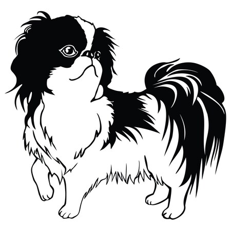 Signmission Japanese Chin Dog Decal, Dog Lover Decor Vinyl Sticker D-12-Japanese Chin